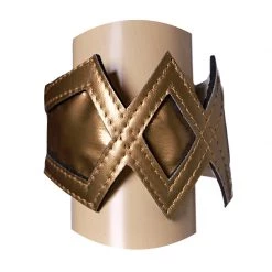 Wonder Woman Cosplay Costume Version 3 -Game Costumes Sales COS 005 07 13