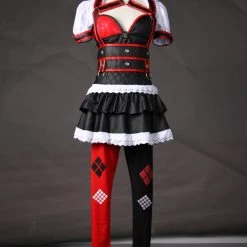 Batman: Arkham Asylum Harley Quinn Suit Cosplay Costume