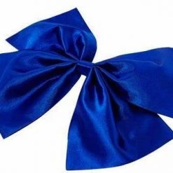 Fate/Extra CCC Cater Tamamo No Mae Cosplay Costume -Game Costumes Sales COS 033 05 12