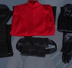 Batman: Arkham City Red Robin Cosplay Costume -Game Costumes Sales COS 040 07 4