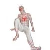 White Lycra Spandex Spiderman Zentai Suit With Red Spider -Game Costumes Sales image white lycra spandex spiderman zentai suit with red spider1